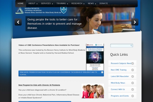 Site using WP Google Search plugin