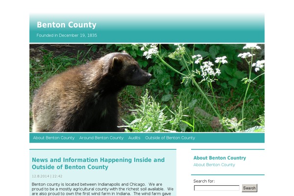 Nature Light theme site design template sample