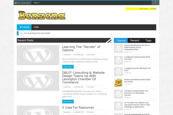 BresponZive Pro theme site design template sample