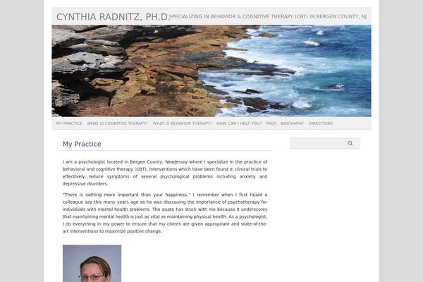 picolight theme site design template sample