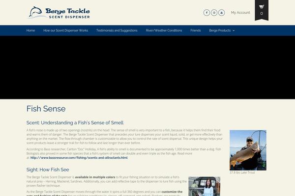 Oxygen theme site design template sample