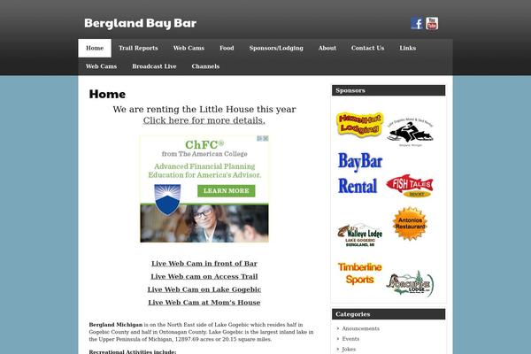 Zeesynergiepro theme site design template sample