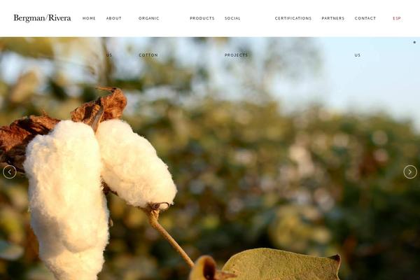 bergmanrivera.com site used Bergmanr