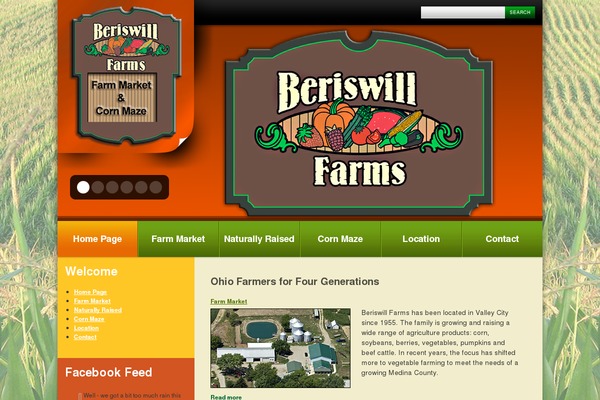 Theme1271 theme site design template sample