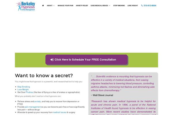 Polo theme site design template sample