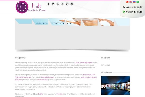 Designota theme websites examples