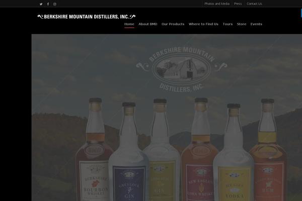 Salient Child theme site design template sample