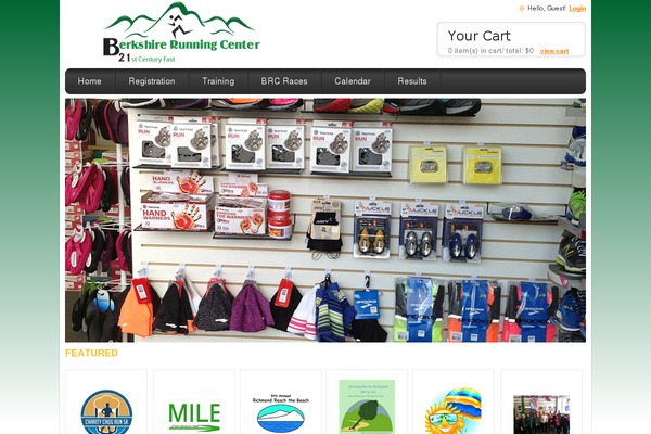 Mystile theme site design template sample