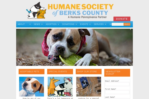 Earth theme site design template sample