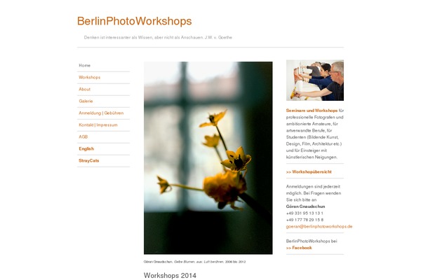 Ari theme site design template sample