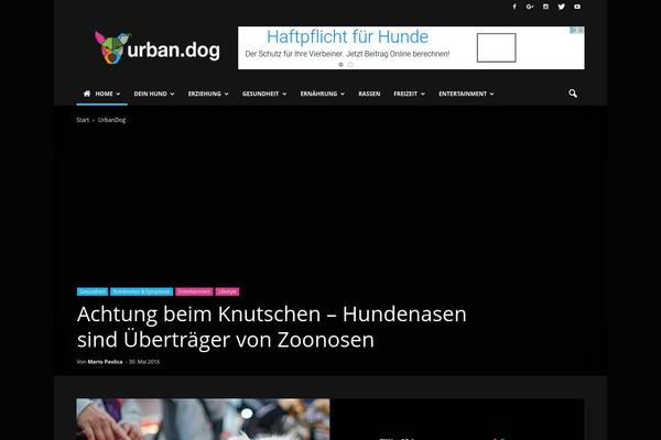 elastico_v1.1.2 theme websites examples