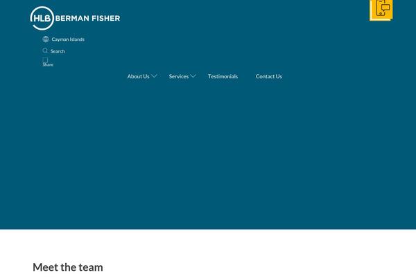 Pro theme site design template sample