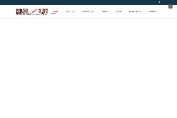 Site using Solazu-unyson plugin