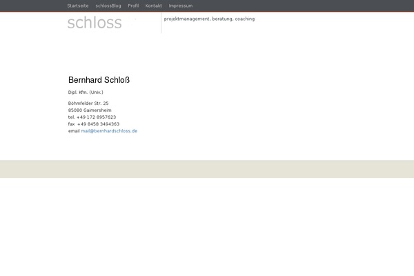Simplicitybright Plus theme site design template sample