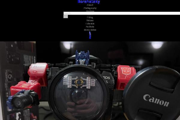 bershatsky.com site used Mura