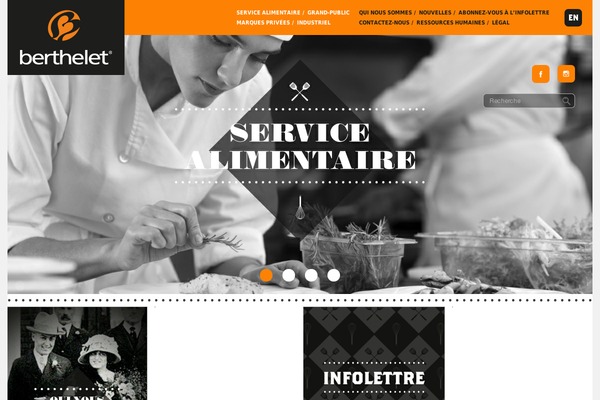 Wpactivis theme site design template sample