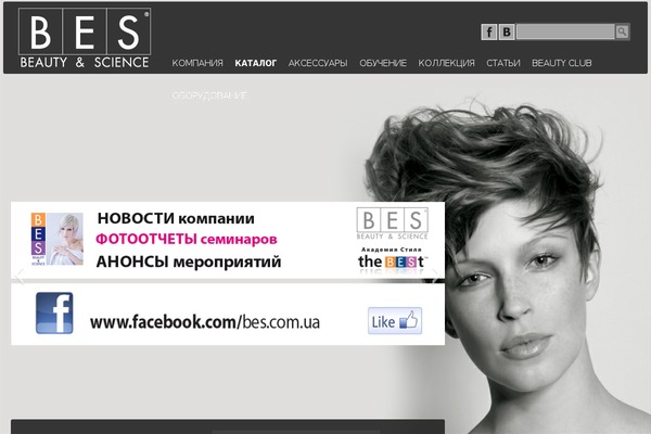 Teardrop theme site design template sample
