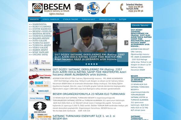 Web theme site design template sample