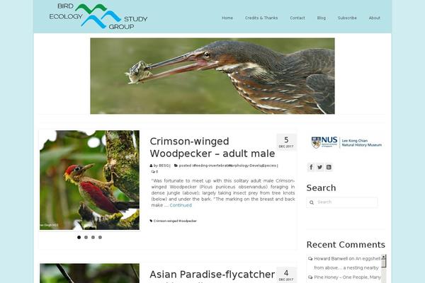 Site using WP ULike plugin