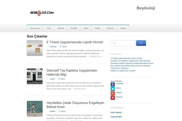 Chronicle theme site design template sample