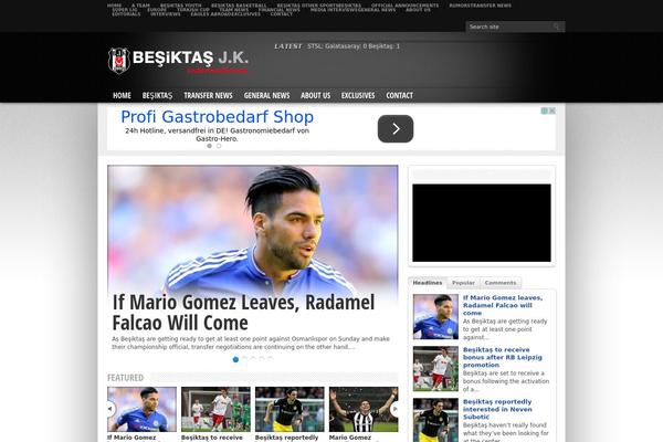 Resportsive theme site design template sample