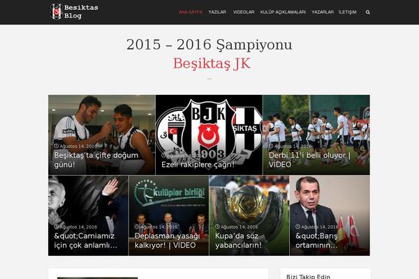 Site using Video Embed & Thumbnail Generator plugin