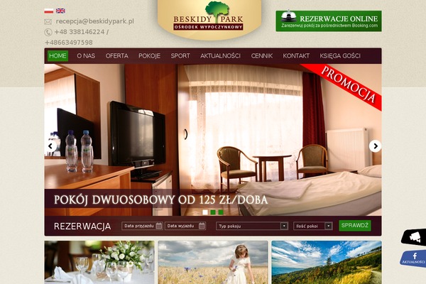 Theme1963 theme site design template sample