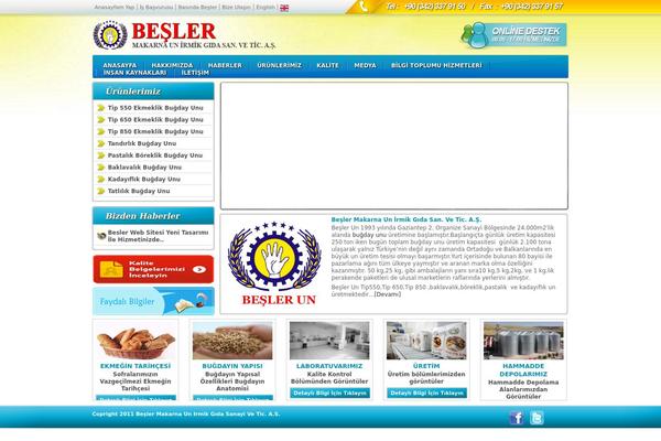 Mavi theme site design template sample