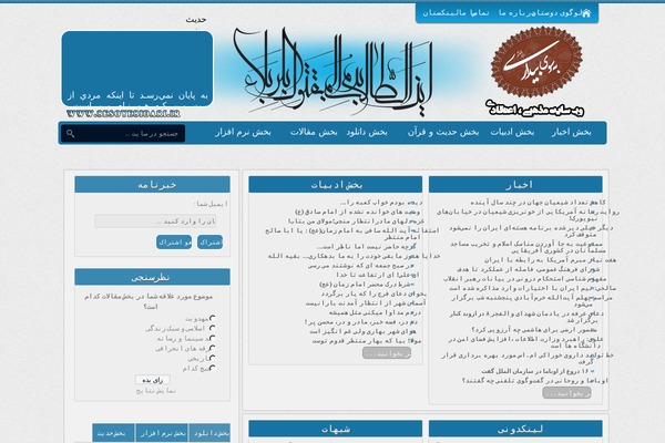 amin theme websites examples