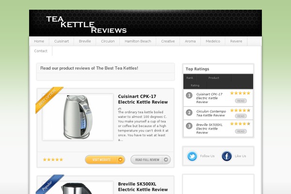 Proreview theme site design template sample
