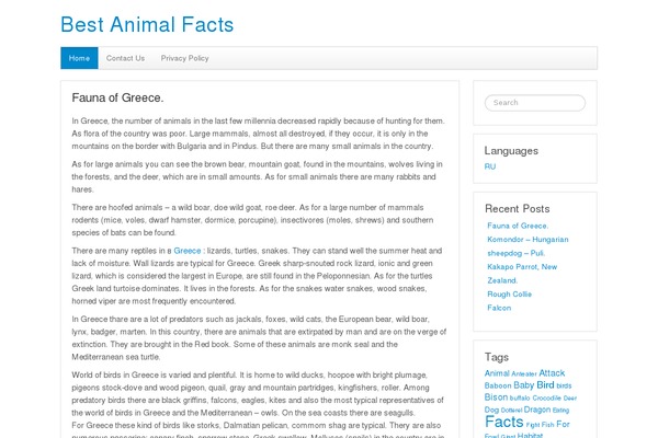 Response theme site design template sample