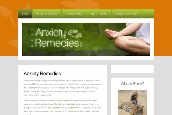 bestanxietyremedies.com site used Arrangement