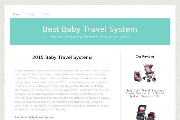 Dynamic News Lite theme site design template sample
