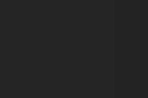 Site using Bookly-addon-pro plugin