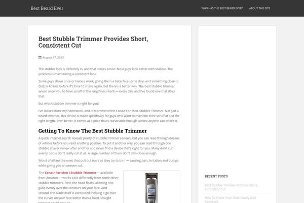 Sparkling theme site design template sample