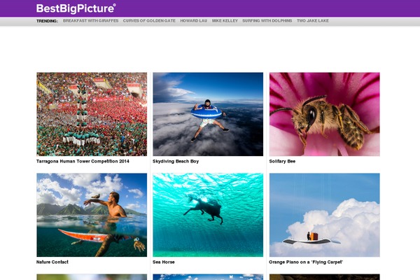 bestbigpicture.com site used Bbp