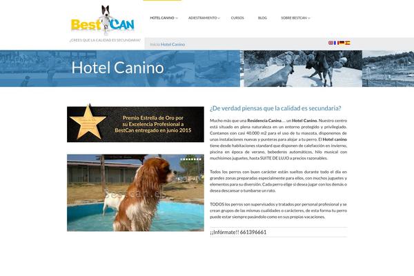 Novus theme site design template sample