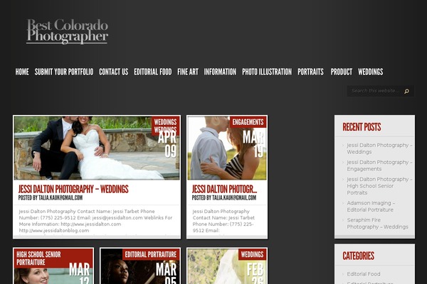 TheStyle theme site design template sample