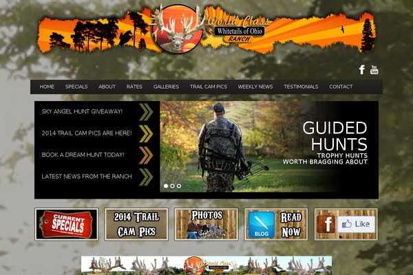Honor theme site design template sample