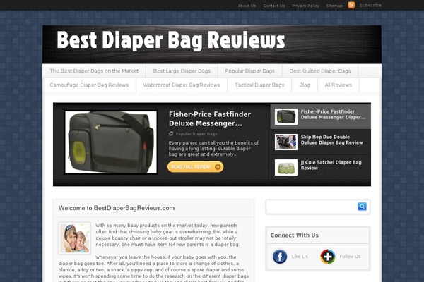 Proreview theme site design template sample