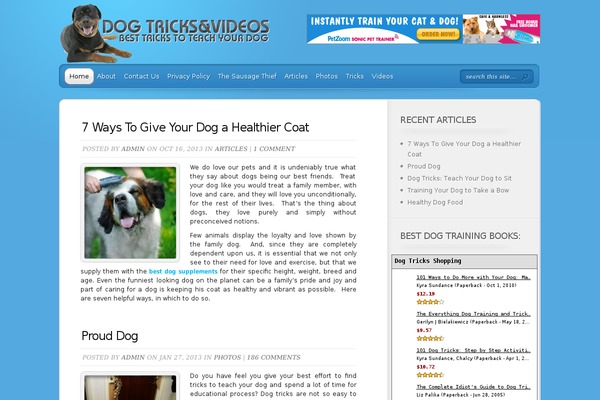 TheProfessional theme site design template sample