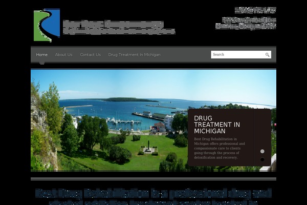 bestdrugrehabilitationmichigan.biz site used Blackbird