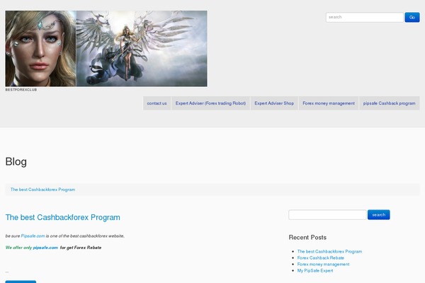 Cherry Framework theme site design template sample