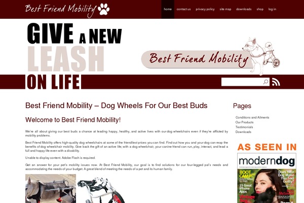 Bfm theme site design template sample