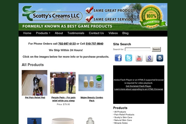 bestgameproducts.com site used Flexxcanvas-georgia