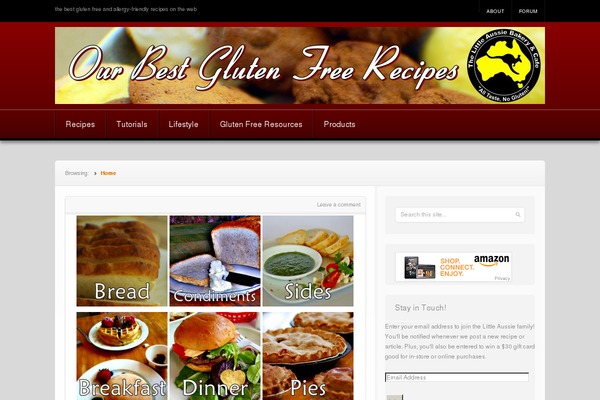 bestglutenfreerecipes.org site used Nuntius