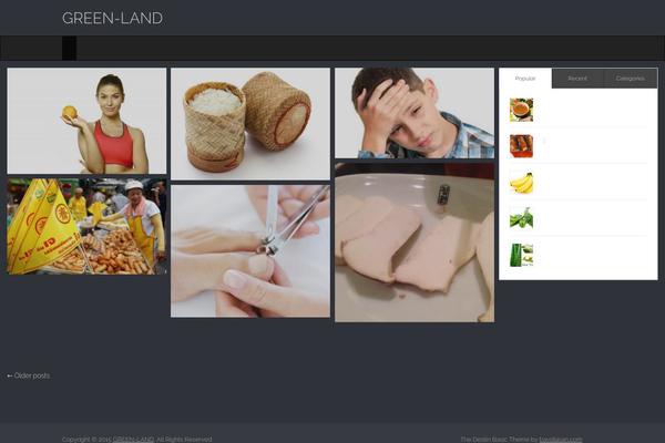 Destin Basic theme site design template sample