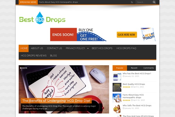 Metro Pro theme site design template sample