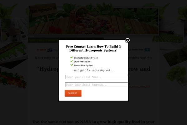 FlexSqueeze theme site design template sample