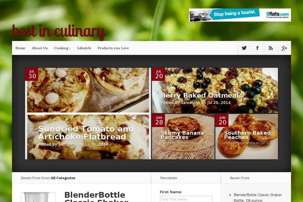 Nexus theme site design template sample